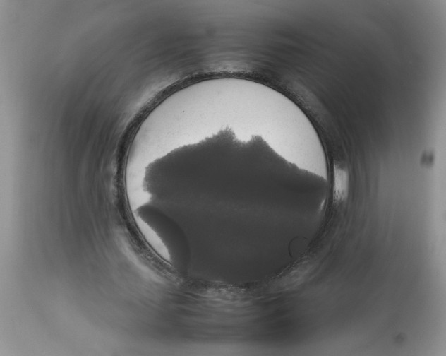 X0000112830627200909181650