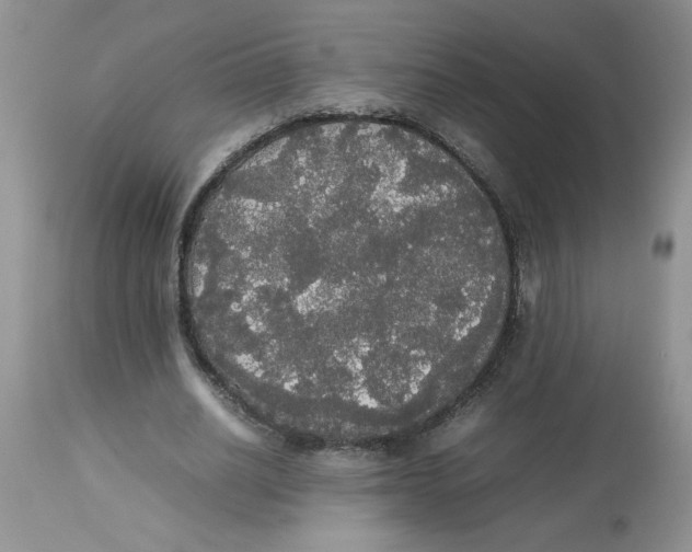 X0000112830630200909181650