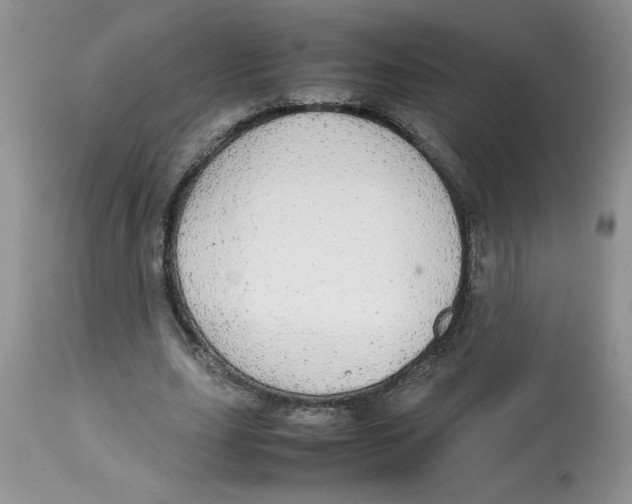 X0000112830631200909181650