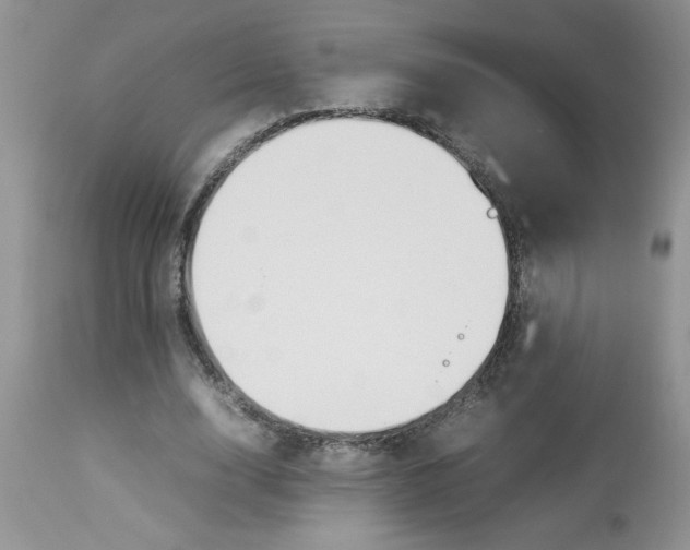 X0000112830632200909181650