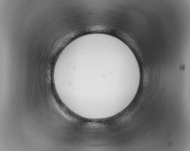 X0000112830633200909181650