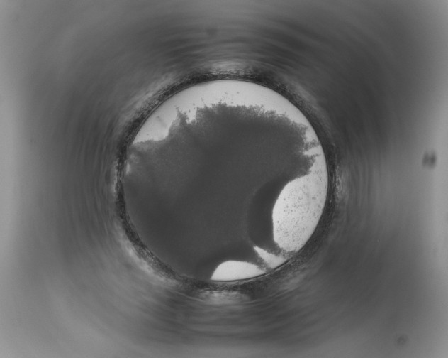 X0000112830637200909181650