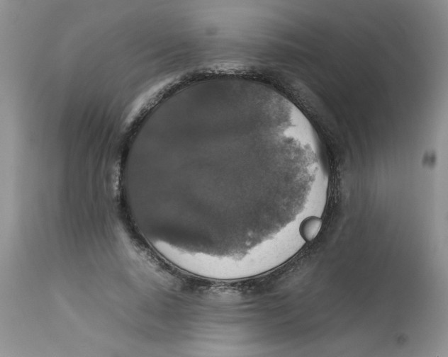 X0000112830640200909181650