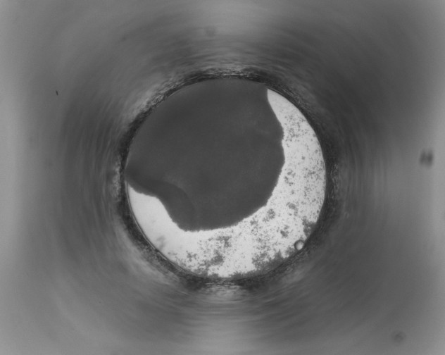 X0000112830642200909181650