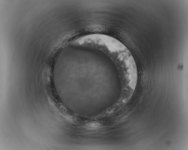 X0000112830643200909181650