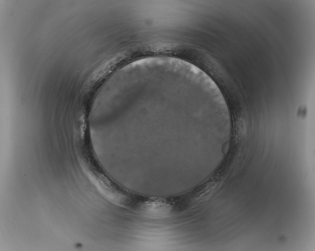 X0000112830644200909181650