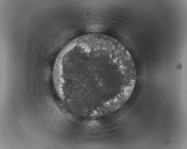 X0000112830647200909181650