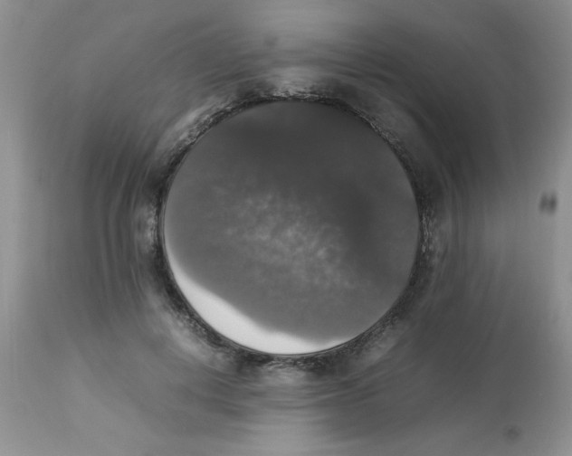 X0000112830648200909181650