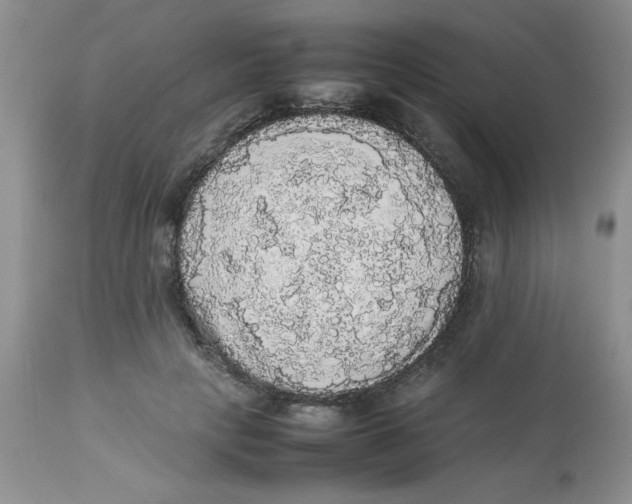 X0000112830649200909181650