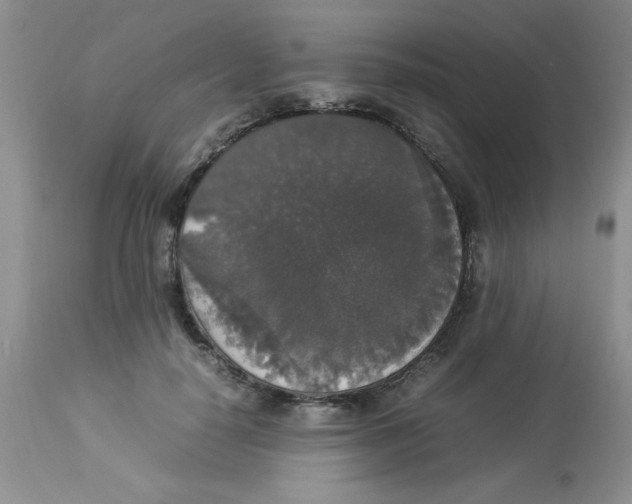 X0000112830650200909181650