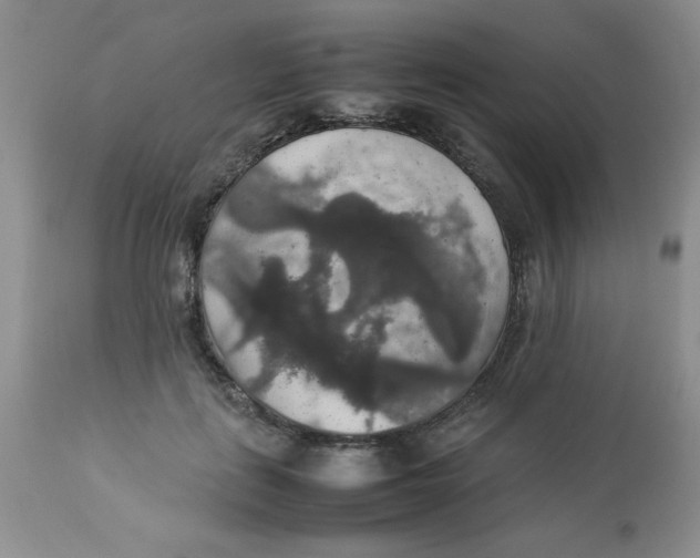 X0000112830651200909181650