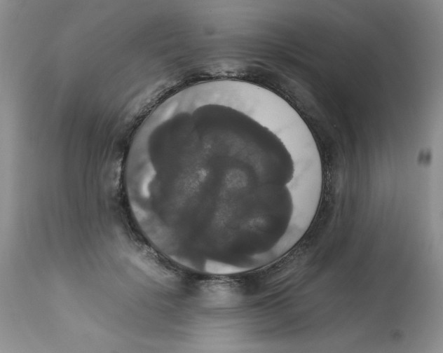 X0000112830652200909181650