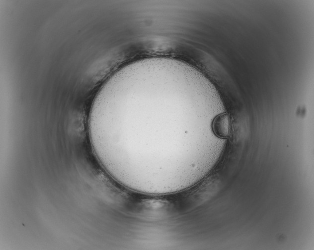 X0000112830654200909181650