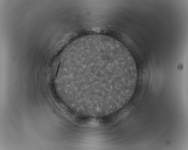 X0000112830656200909181650