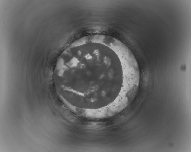 X0000112830657200909181650