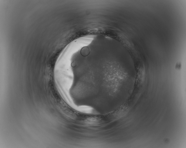 X0000112830659200909181651