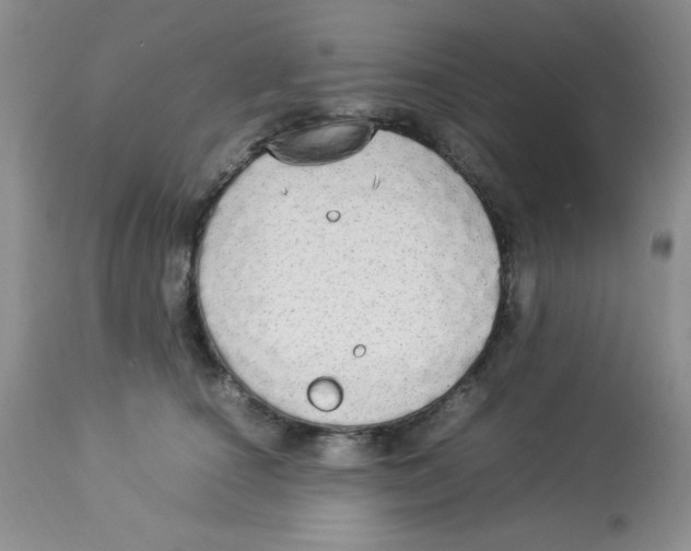 X0000112830660200909181651