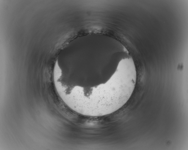 X0000112830661200909181651