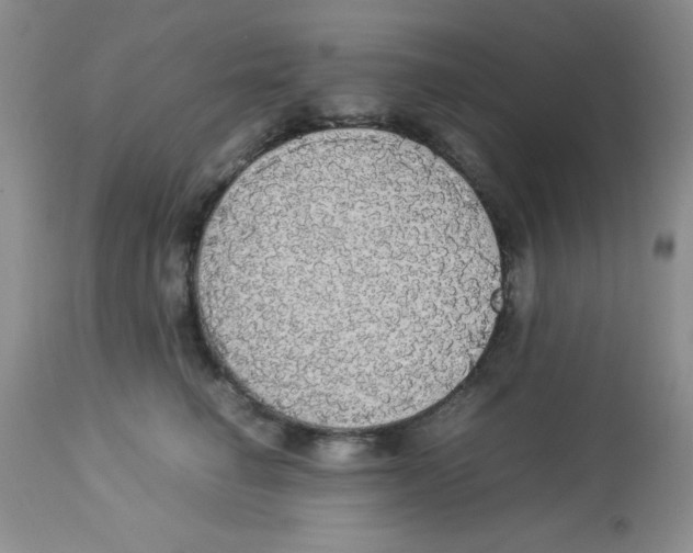 X0000112830662200909181651