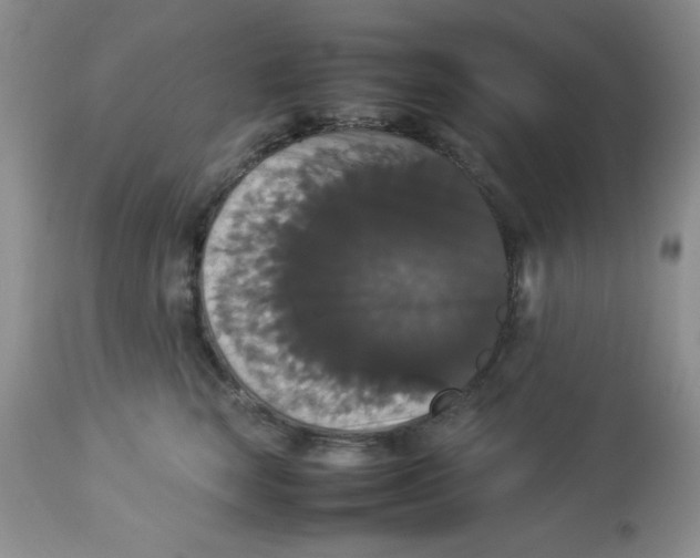 X0000112830663200909181651