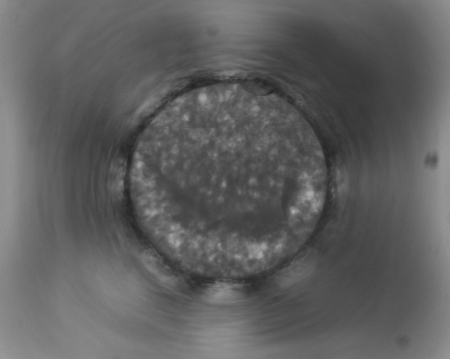 X0000112830664200909181651