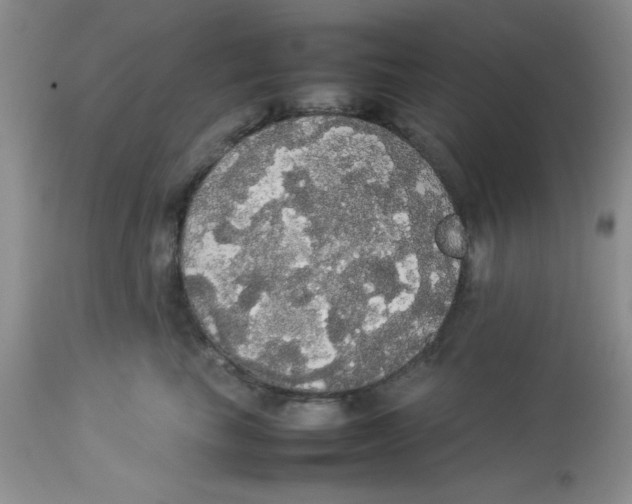 X0000112830665200909181651