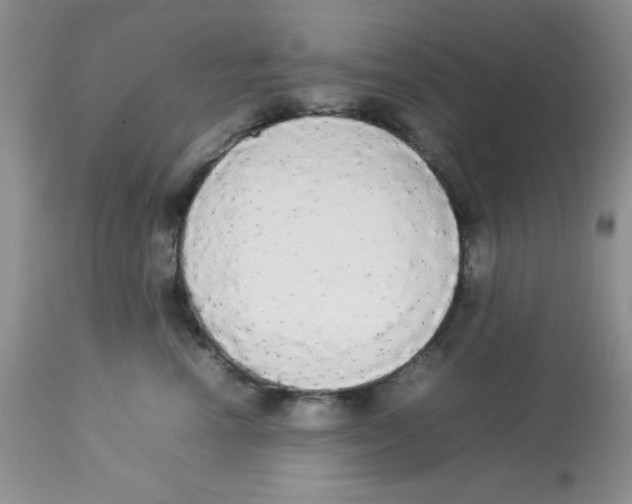 X0000112830666200909181651