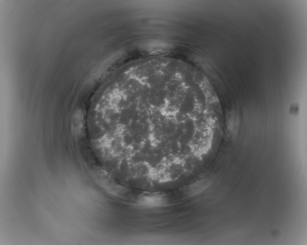 X0000112830667200909181651