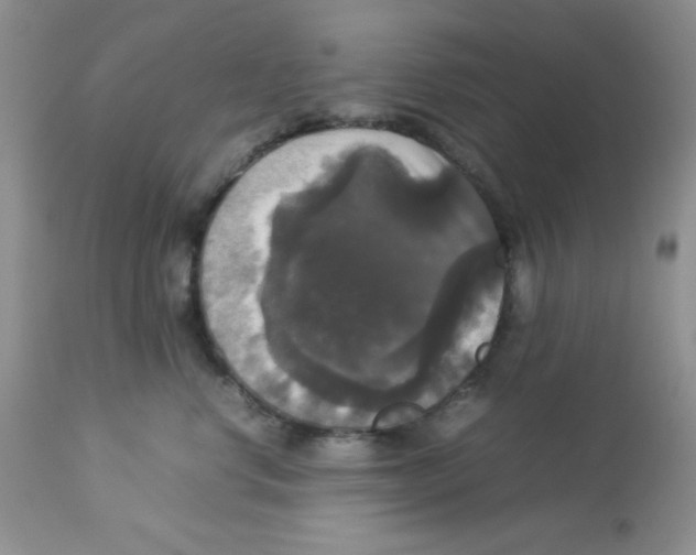 X0000112830668200909181651