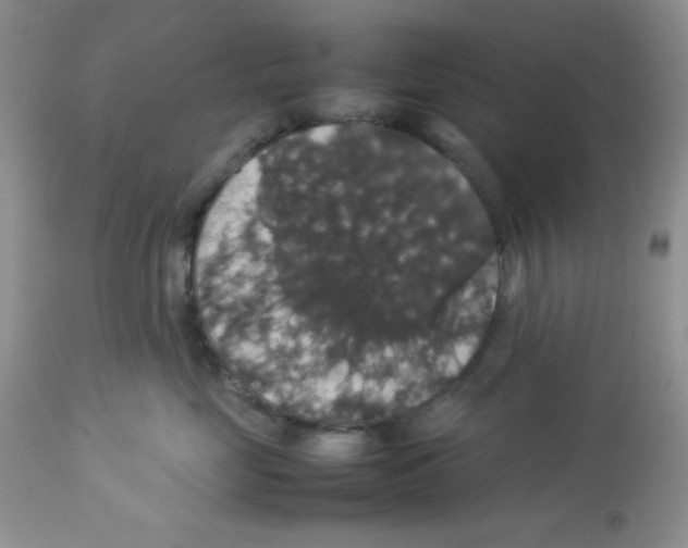 X0000112830669200909181651