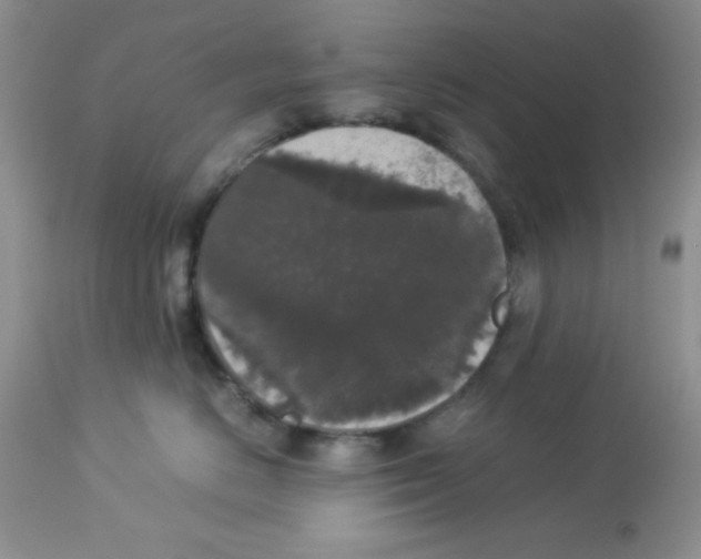 X0000112830670200909181651