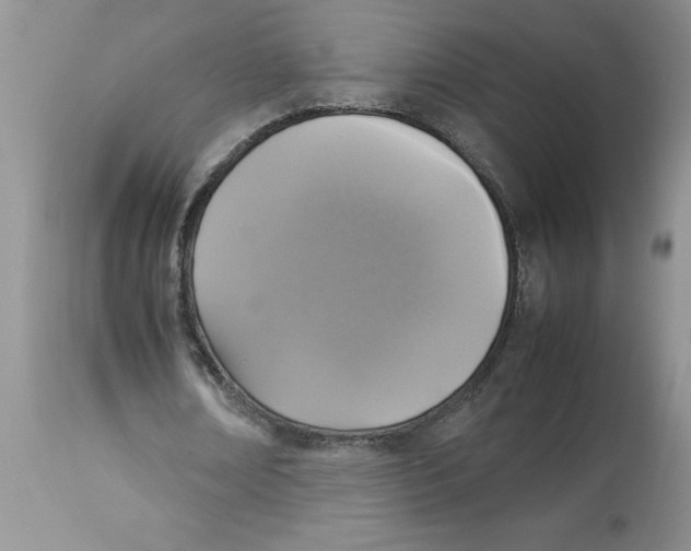 X0000112830674200909181650