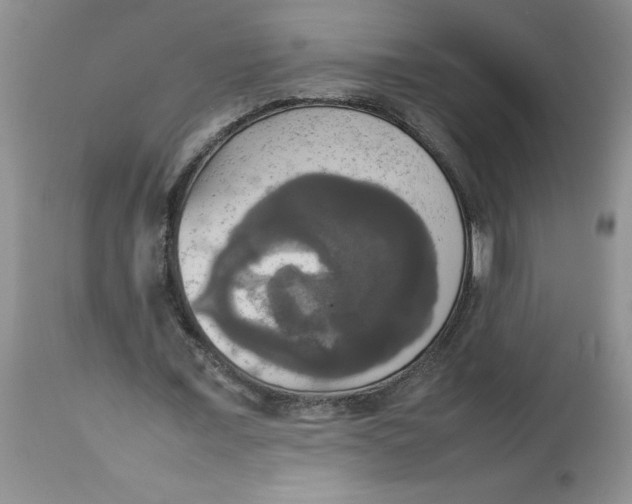 X0000112830675200909181650