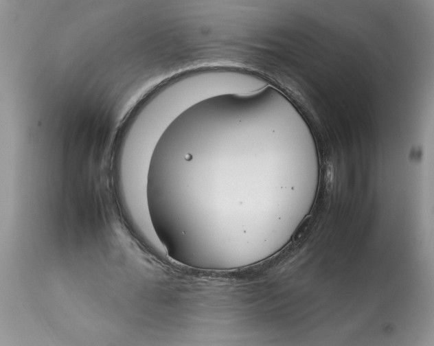 X0000112830676200909181650