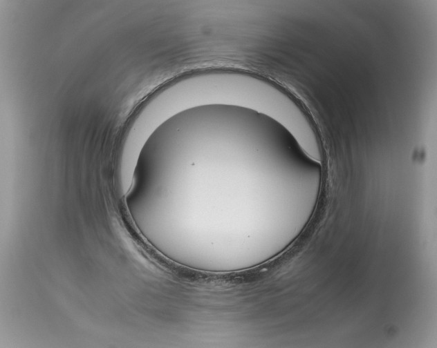 X0000112830677200909181650