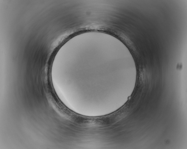 X0000112830678200909181650