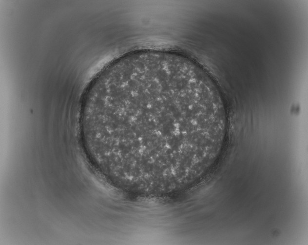 X0000112830679200909181650