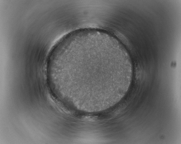 X0000112830680200909181650