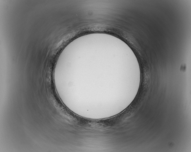 X0000112830681200909181650