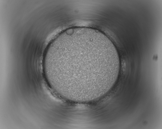 X0000112830682200909181650