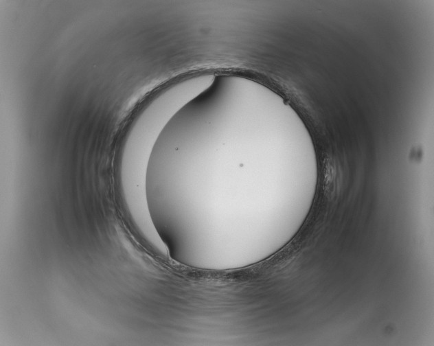 X0000112830684200909181650