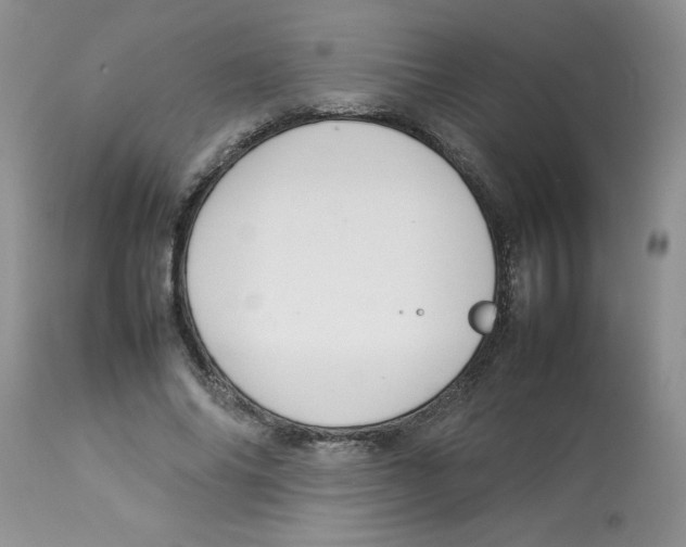 X0000112830686200909181650