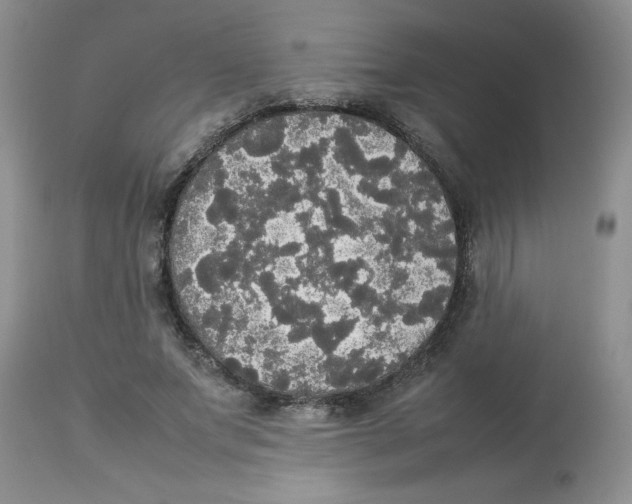 X0000112830687200909181650