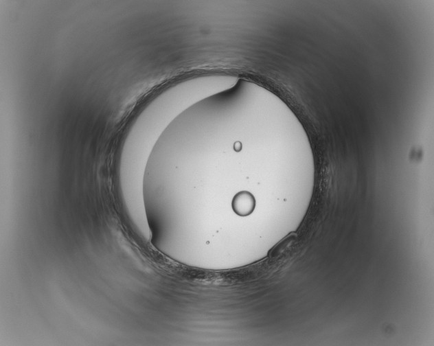 X0000112830688200909181650