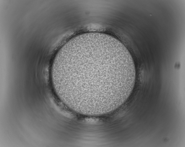 X0000112830690200909181650