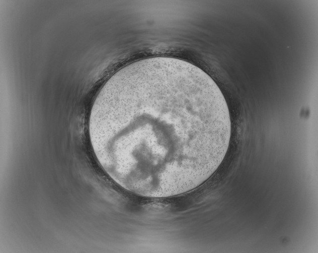 X0000112830691200909181650