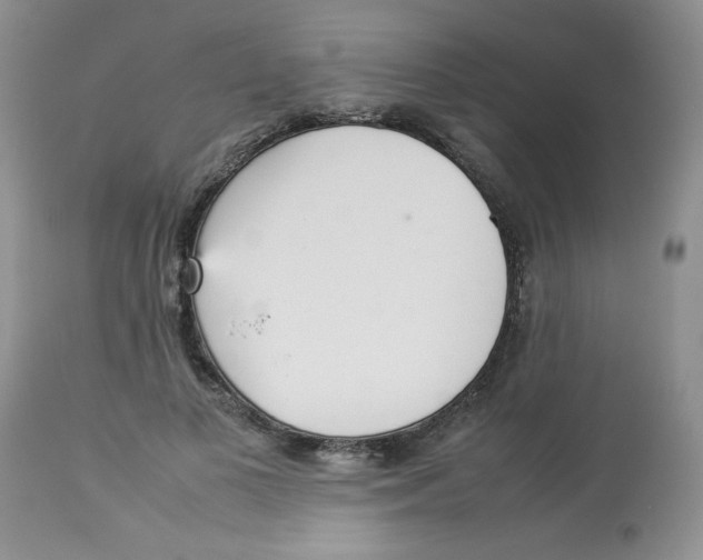 X0000112830693200909181650