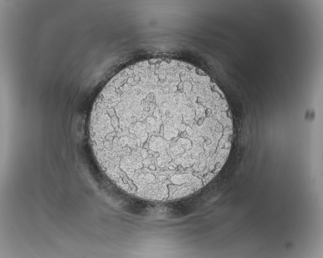 X0000112830695200909181650