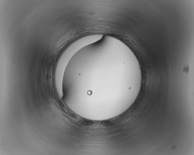 X0000112830696200909181650