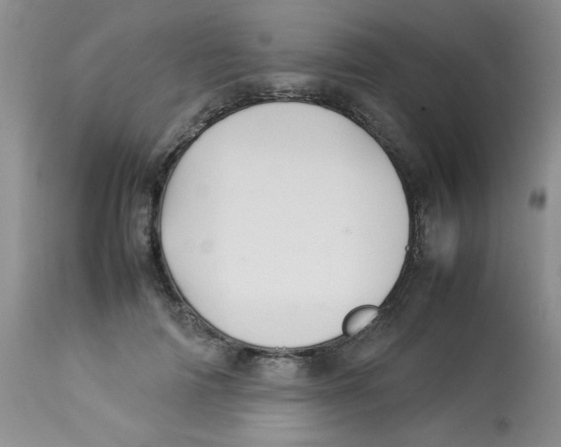 X0000112830698200909181650